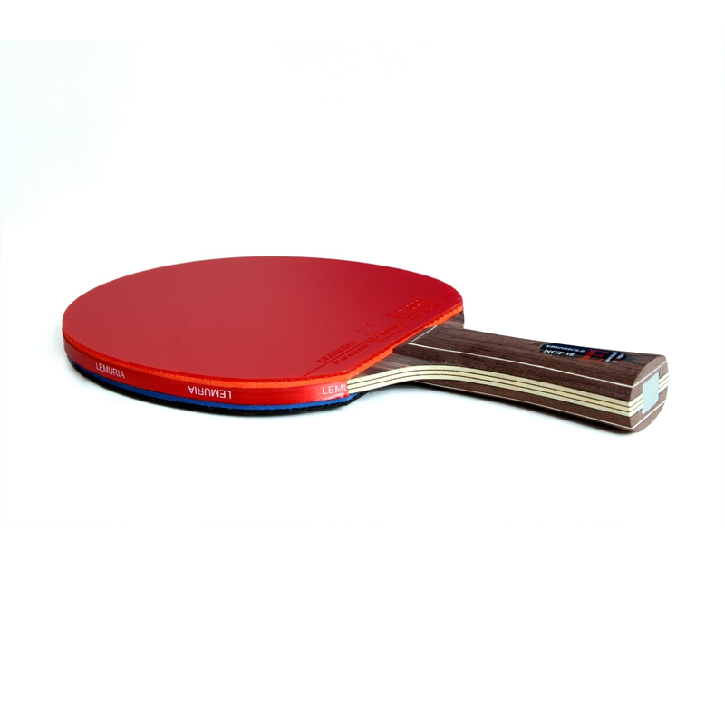 Lemuria EBENHOLZ-Table Tennis  - đánh giá và giá Table Tennis Forehand
