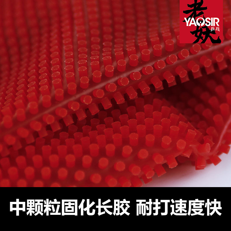 Cured Long Pips OX Pingpong Ru - đánh giá và giá Table Tennis Zlc